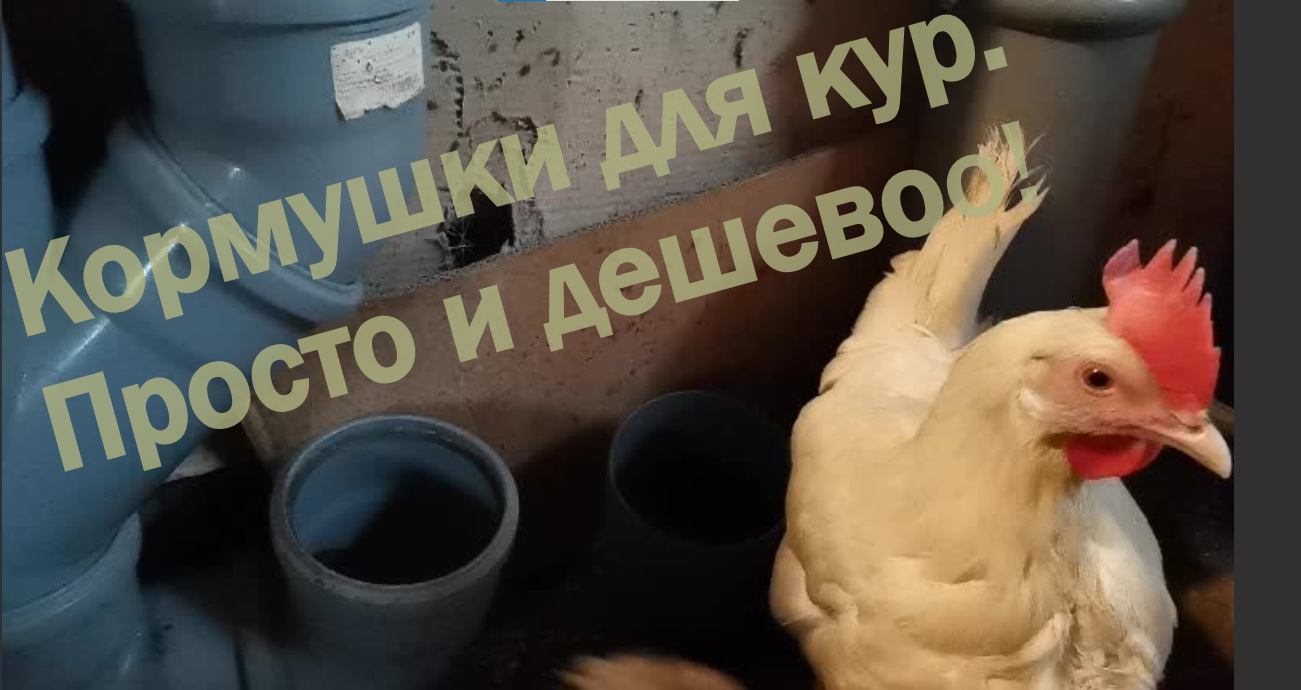 2023 04 15 куры модернизирую кормушки.
