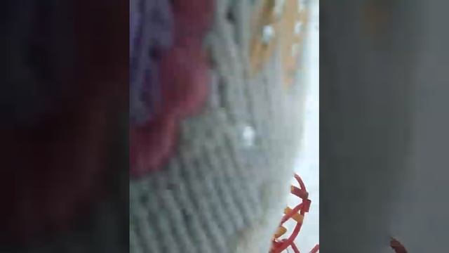 Катаемся на санках! Отдых на Ай Петри. смотреть онлайн