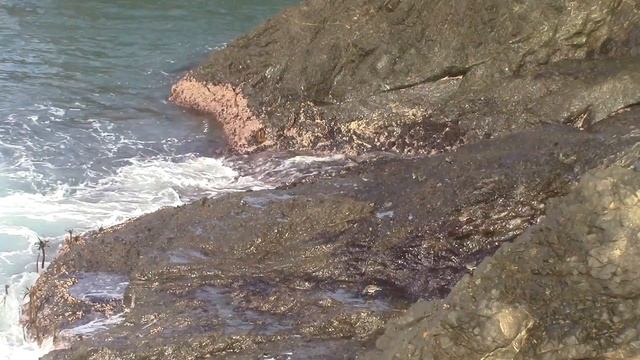When a Rogue Wave Ruins Your Lunch смотреть онлайн