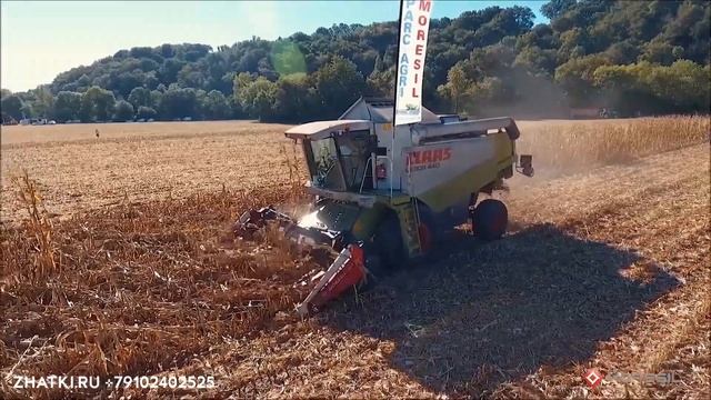 Жатка кукурузная для сложной уборки Моресиль