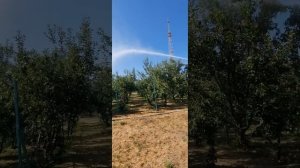 спринклер Пушка PY50 38000 тенге www.aquabestkz.kz