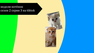 Недели котёнок сезон 2 серия 3 на tiktok