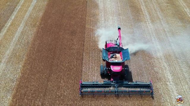 2020 WHEAT HARVEST with WALTER FARMS  HARVESTING