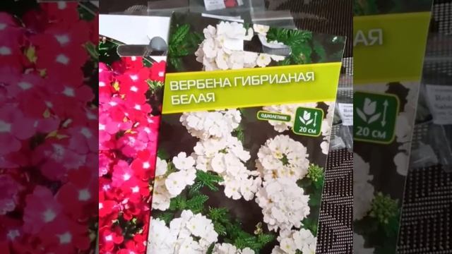 ???Сею вербену???Покупка семян цветов?? смотреть онлайн