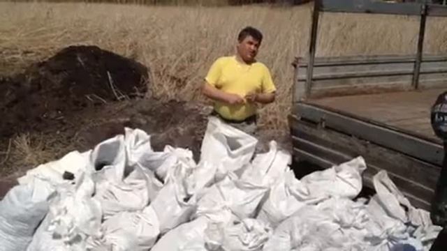 Зондер команда   Казачки