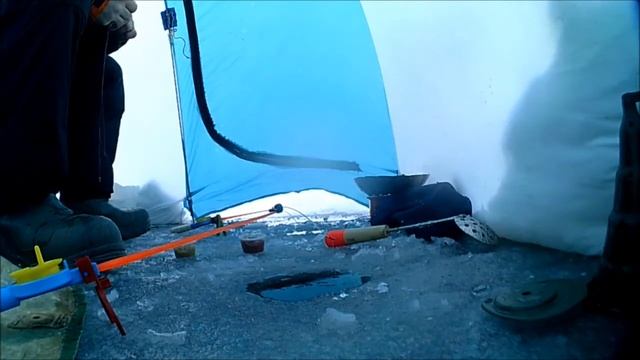 Ленинградская обл. рыбалка ОНЕГА клёв КРУПНОЙ ПЛОТВЫ 08.02.2018.