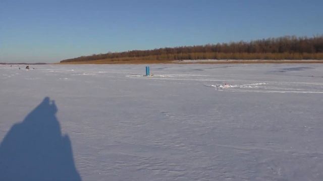 Иртыш декабрь 2021. Рыбалка по первому льду. Ловля хищника. смотреть онлайн