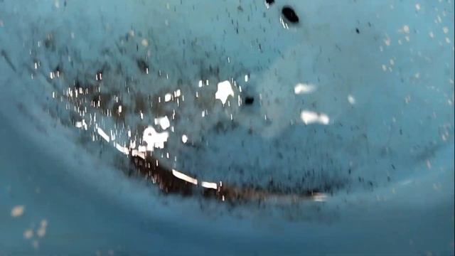 Как извлечь мелкое золото из черного шлиха.
