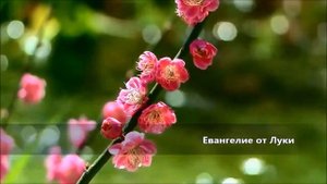 Евангелие от Луки / Глава 20