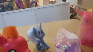 школа номер 13 пони