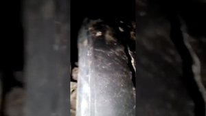 замена бачка омывателя даф 105.