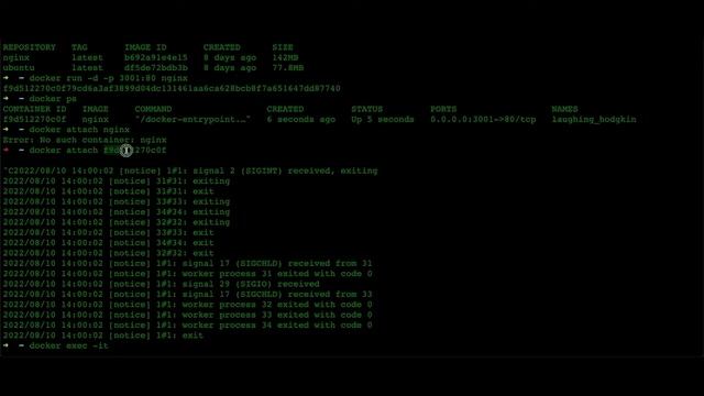 Running Commands in a Docker container | Docker Series Part -4 | Docker Tutorial | DevOps | Cloud смотреть онлайн