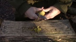 Нож финка РФ (русская финка) от ООО ПП Кизляр. Выживание. Тест №183