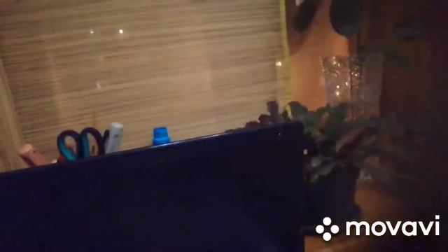 Плачевный итог.Ошибка.Опыт - сын ошибок трудных. смотреть онлайн