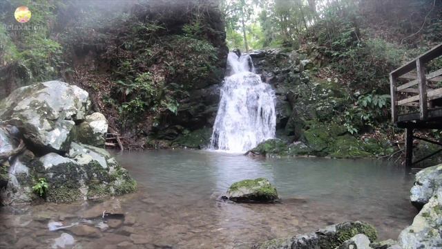 自然の音フィルム【心を落ち着かせる森の小さな滝♪頭スッキリ】癒しのリラックスBGM♪｜Original Relaxation Nature Sounds Video ★10 смотреть онлайн