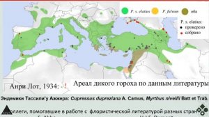 Лекция Олега Костерина "При царе Горохе: ареал, местообитания и популяции дикого гороха"