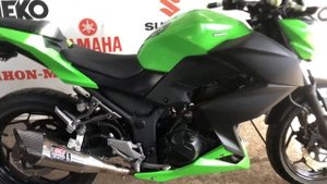 Kawasaki Z 250