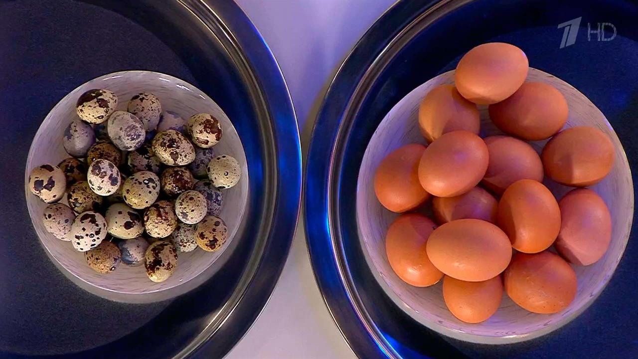 Перепелиные сальмонеллез. Куриные и перепелиные яйца. Перепелиные яйца польза. Что полезного в перепелиных яйцах.
