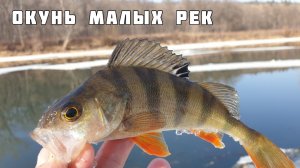 Рыбалка Весной в Апреле, Поиск Рыбы, Места Ловли, Проводка и Приманки, ловля окуня Тольятти Купринка