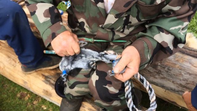 Заплетаем канат смотреть онлайн