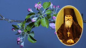ЛУЧШИЕ СОВЕТЫ И НАСТАВЛЕНИЯ. ПРЕПОДОБНЫЙ ИОСИФ ОПТИНСКИЙ