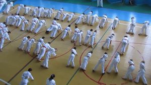 Разминка, перекаты, пресс, отжимания перед аттестацией Каратэ Киокушин