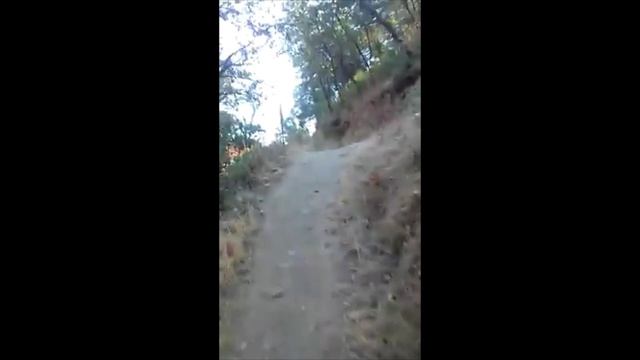 waking up Animal in me