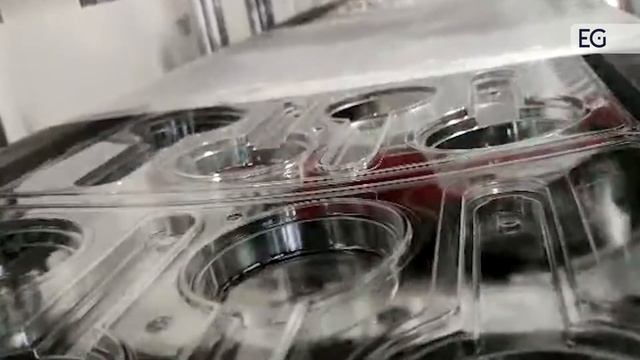 Машина для производства пищевых контейнеров RX-550 350 смотреть онлайн