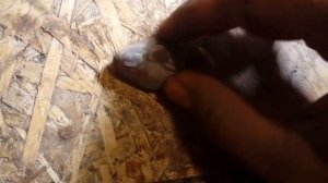 Первый опыт резьбы по камню бормашинкой  Паучок