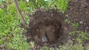Готовим посадочную яму для плодового дерева. Ищем причину гибели Дюка(черевишня).