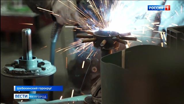 Житель Шебекинского округа вырастил в своих теплицах 50 тысяч тюльпанов
