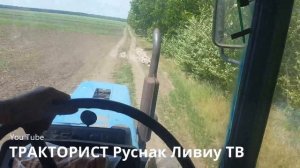 ДЕВУШКА ЗА РУЛЕМ ТРАКТОРА МТЗ 82