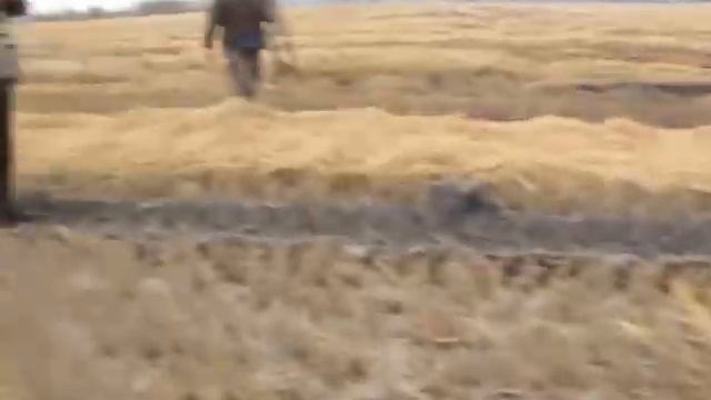 Лов на фазани 2 смотреть онлайн