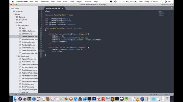 Laravel Php Cookie Tutorial