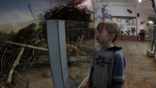 Как воет волк?