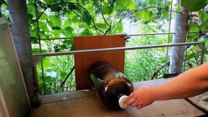 Нарезка ПЭТ-кег под посадку помидоров и лаванды.