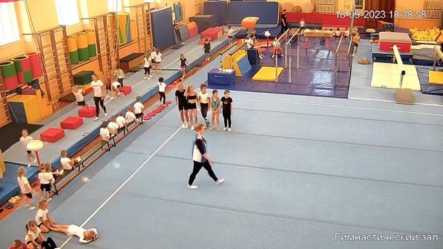 Спортивная гимнастика смотреть онлайн