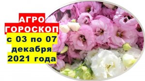 Агрогороскоп с 03 по 07 декабря 2021 года