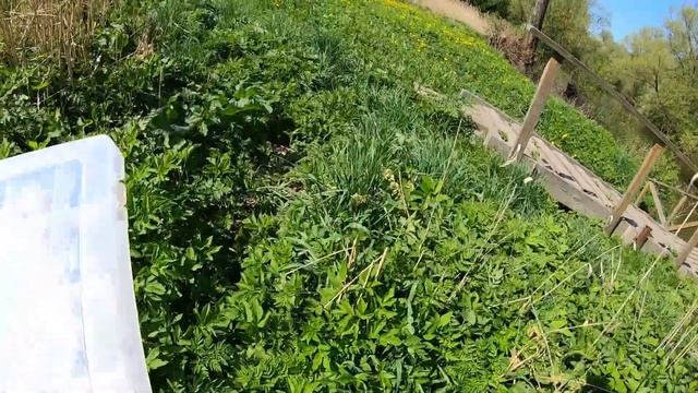 Голавль на КРАСИВЕЙШОЙ Малой реке! Рыбалка в мае на спиннинг, ловля весной