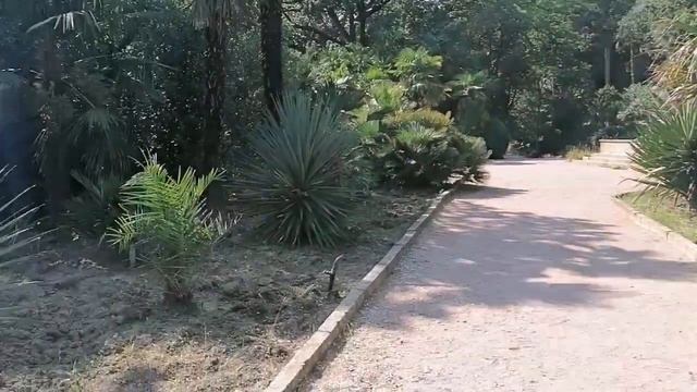Никитский ботанический сад смотреть онлайн