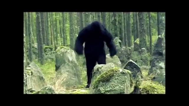 Первая в мире Песня Гоминологов The World's First Hominologist Song