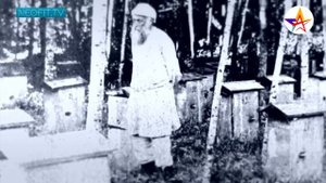 Художники-передвижники (19 век)