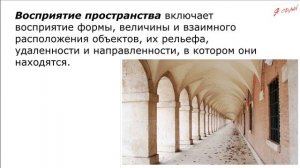 Основы общей психологии. Лекция 6. Познавательные процессы. Восприятие