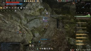 BDO Карта сокровищ матроса сундук на о. Кайт