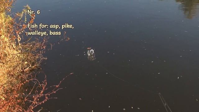 Realwobbler Custom Lures with Real Fish Skin "Light" - Swimming Action/ Leichte Fischhaut-Wobbler смотреть онлайн