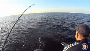 TROLLING. Небольшой обзор приманок, на которые в этом году лучше всего ловился судак на Ладоге.