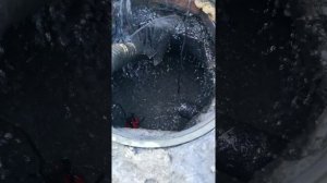 Аренда мотопомпы 1300 л/мин. откачка септика 2 куб.м за 45 секунд