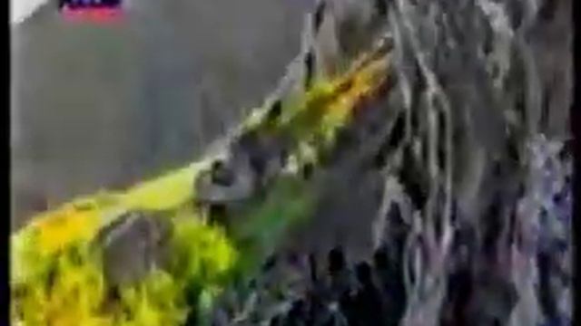 Русская быль про Чечню