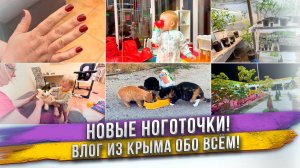Яна сделала ноготки! Тропические растения под землей. У нас уже 5 кошек! Крым удивляет! Масик растет