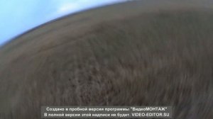 охота на гуся в Казахстане .Выезд с отцом на охоту .